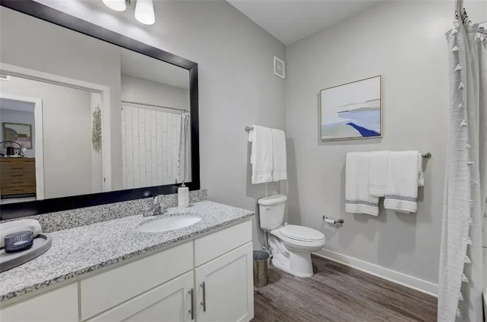 4000 Mill Spring Circle SW #4713 Oakwood, GA 30566