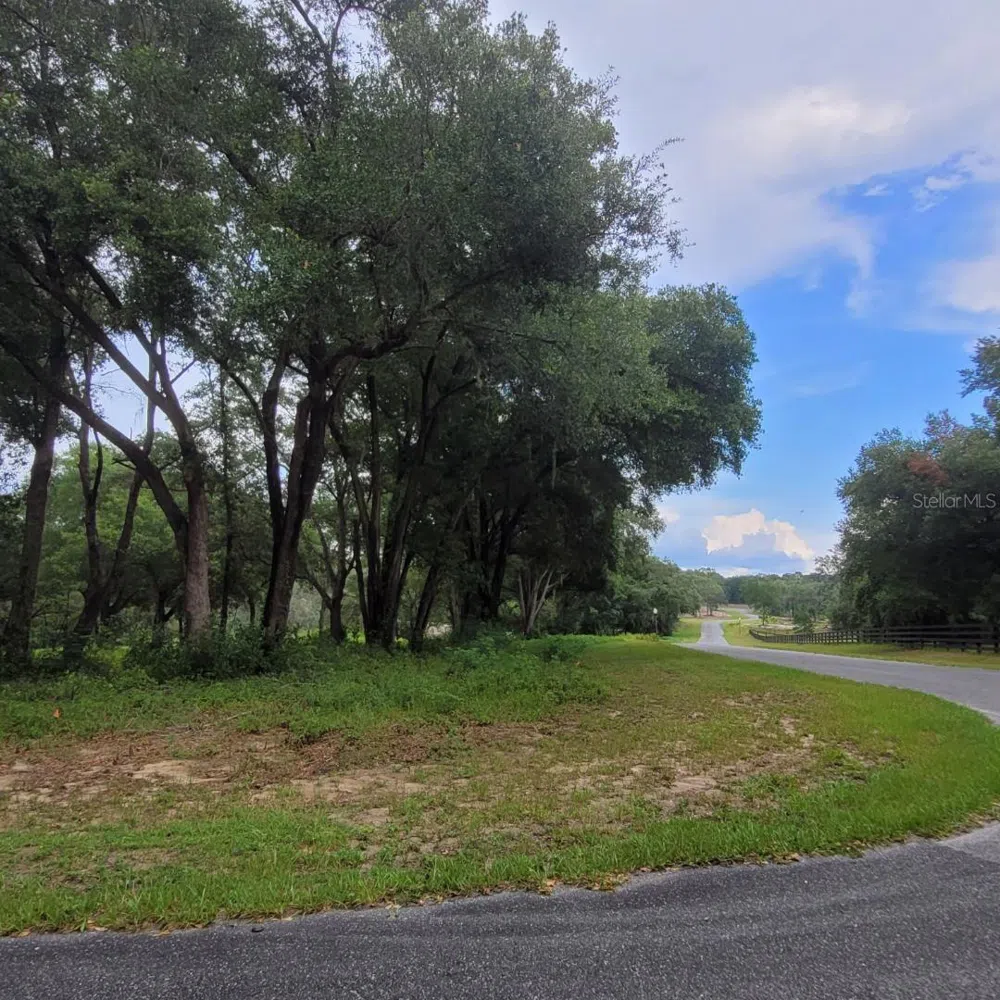 000 SE 118TH LANE Belleview, FL 34420