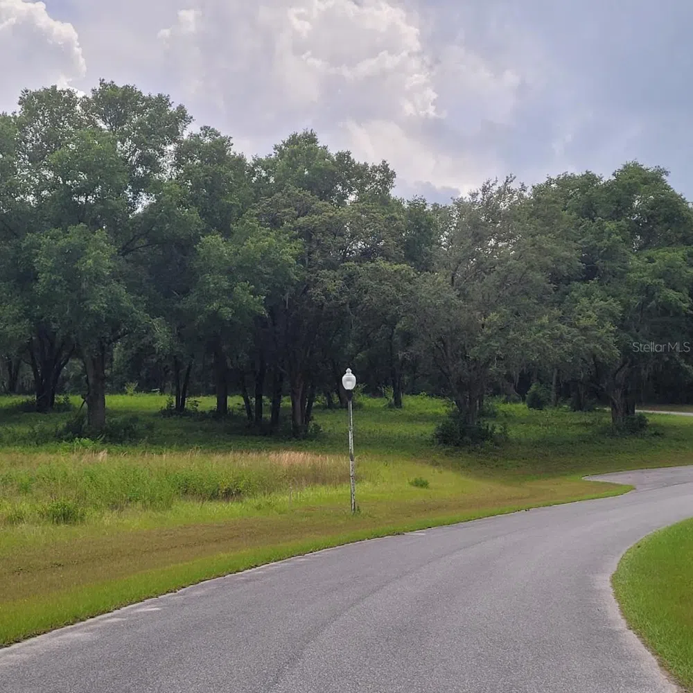 000 SE 118TH LANE Belleview, FL 34420