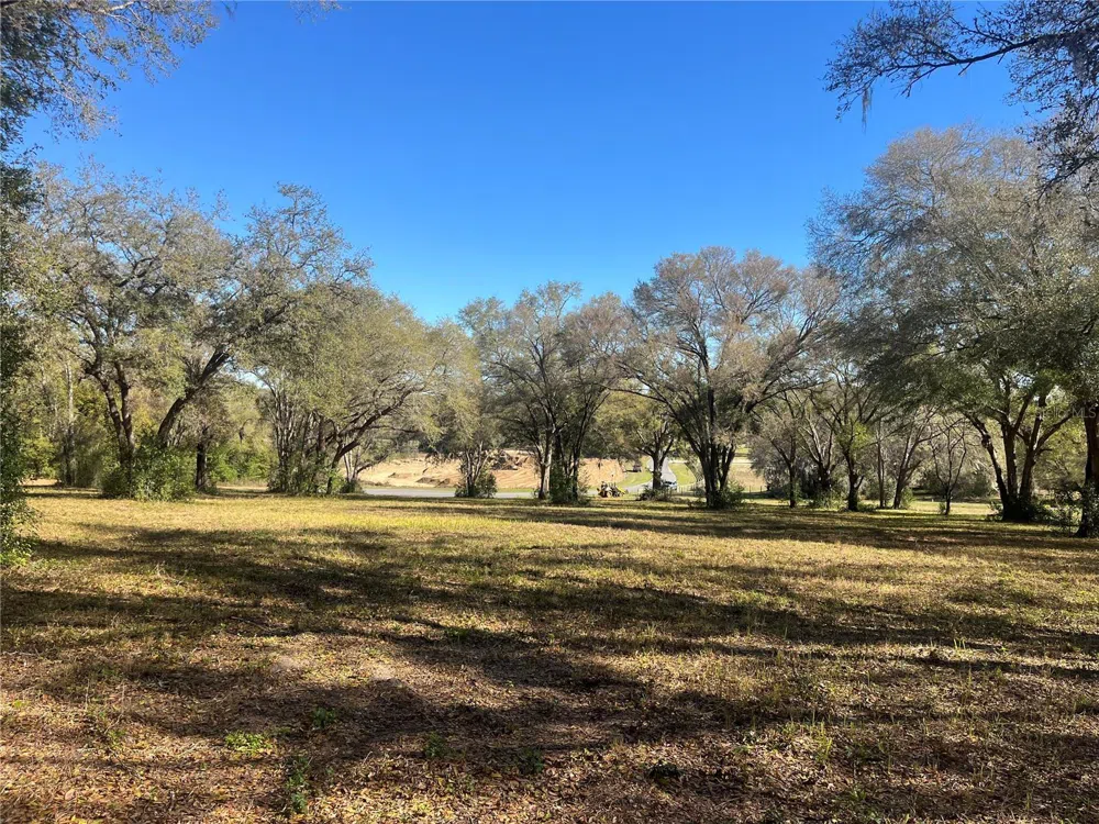 000 SE 118TH LANE Belleview, FL 34420