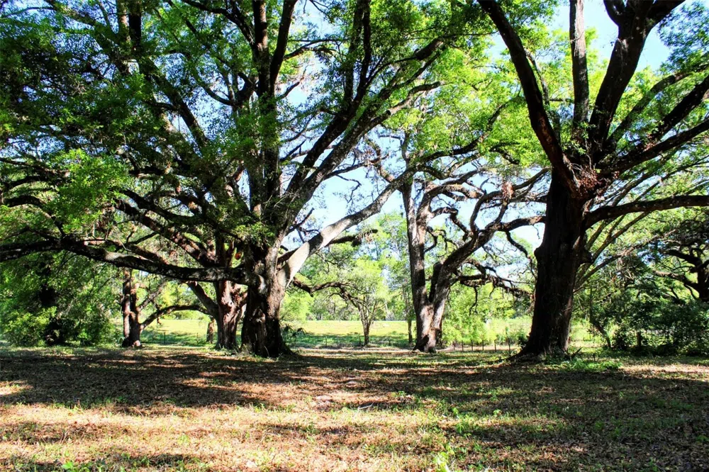 0 ST JOE ROAD Dade City, FL 33525