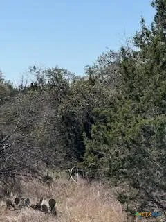 1050 Happy Hollow Drive New Braunfels, TX 78132