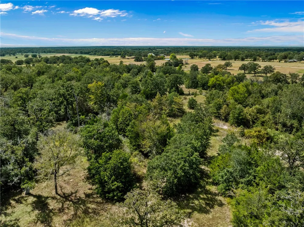 1470 Cedar Circle Snook, TX 77878
