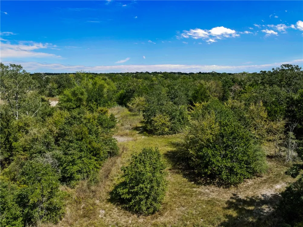 1470 Cedar Circle Snook, TX 77878