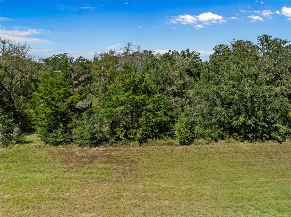 1470 Cedar Circle Snook, TX 77878