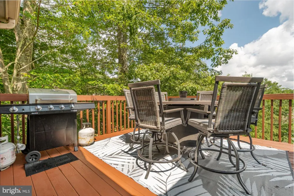 25 SILVER TREE LANE Oakland, MD 21550