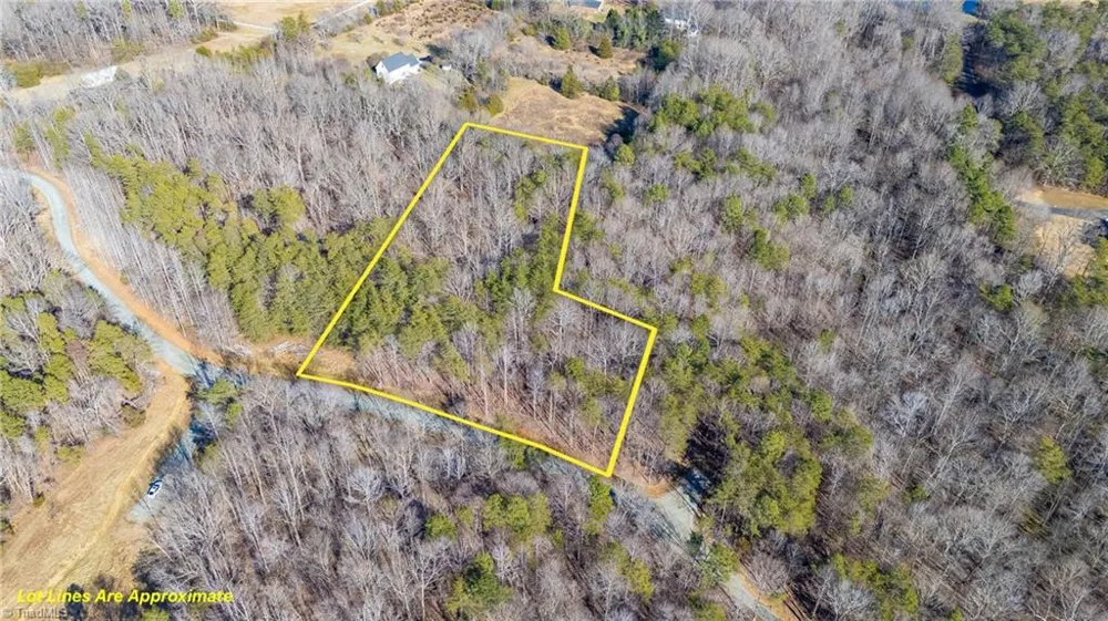 0 Lyla's Lane Efland, NC 27243