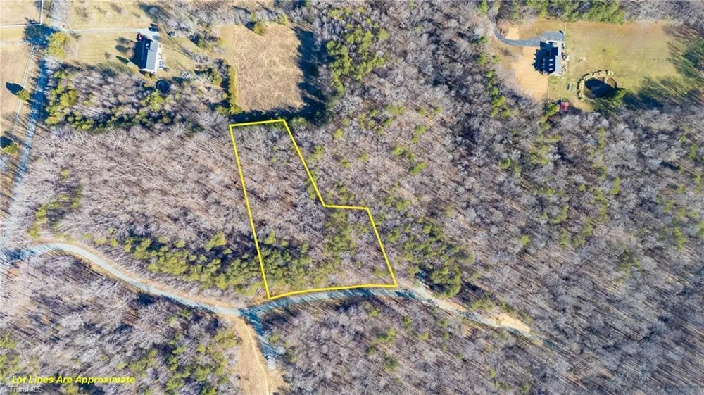 0 Lyla's Lane Efland, NC 27243