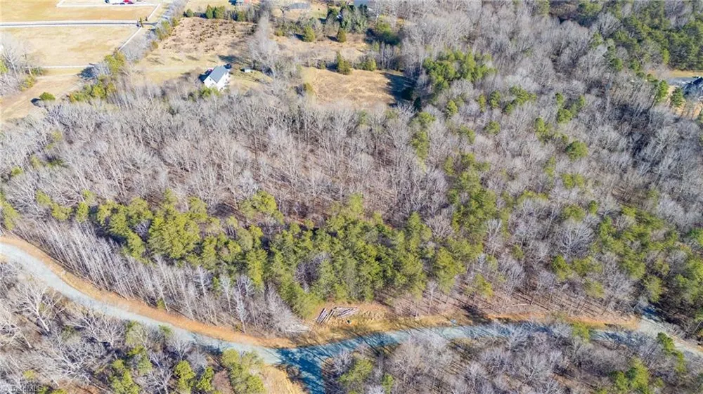 0 Lyla's Lane Efland, NC 27243