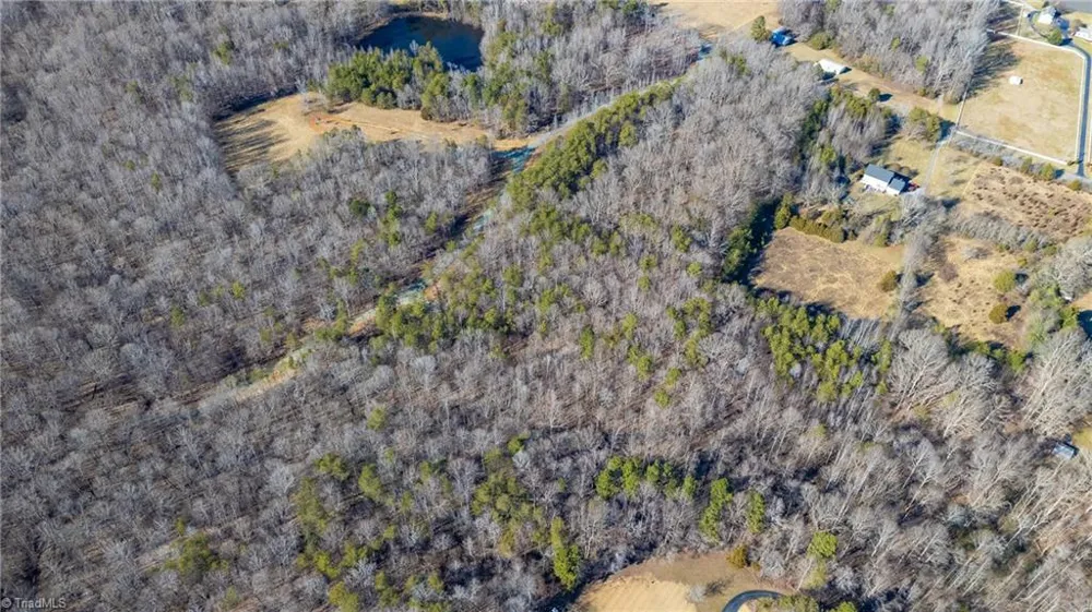 0 Lyla's Lane Efland, NC 27243