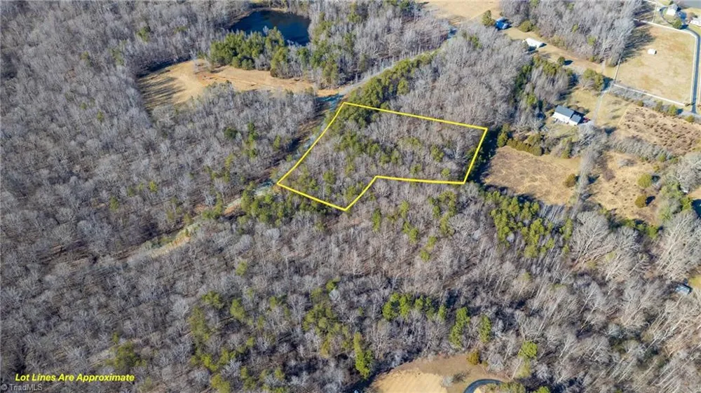 0 Lyla's Lane Efland, NC 27243