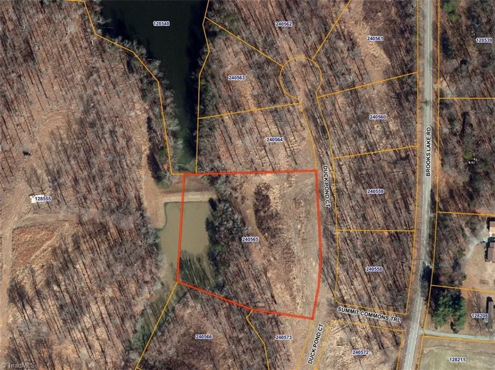 8001 Duck Pond Court Browns Summit, NC 27214