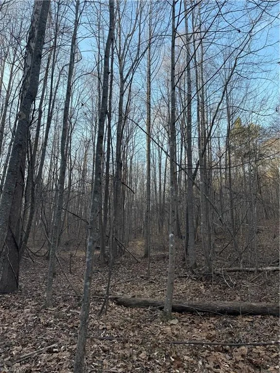 001 Estate Drive Providence, NC 27315