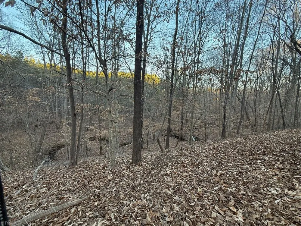 001 Estate Drive Providence, NC 27315
