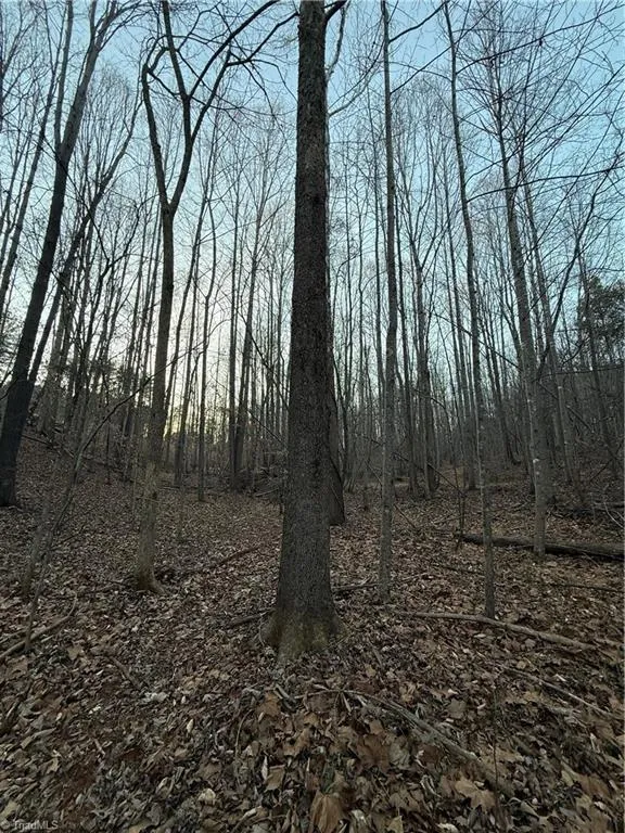 001 Estate Drive Providence, NC 27315