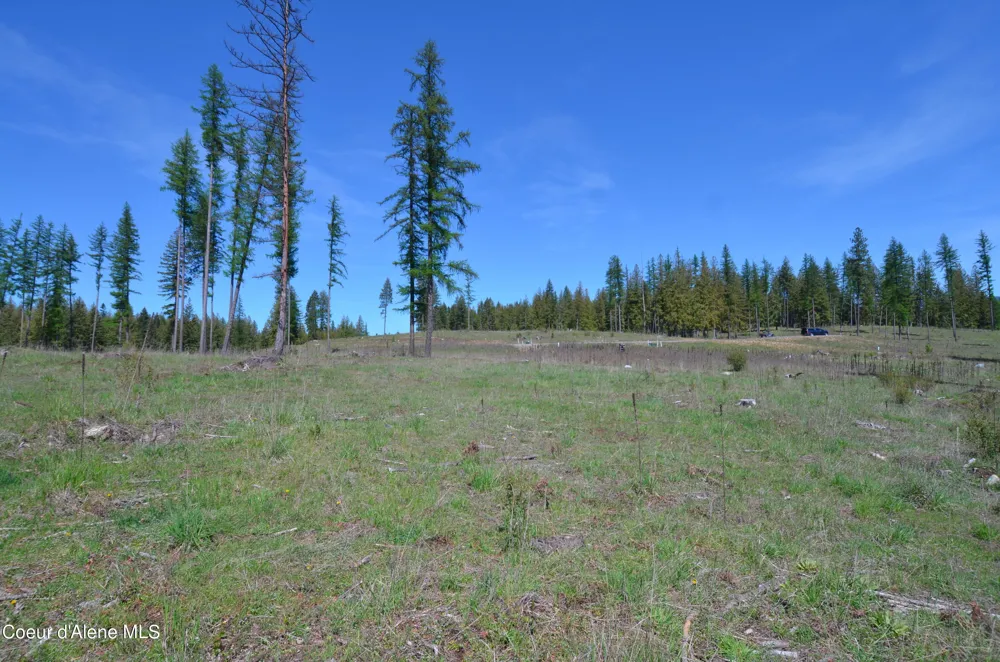 Lot 16 Camp Bay Road Sagle, ID 83860