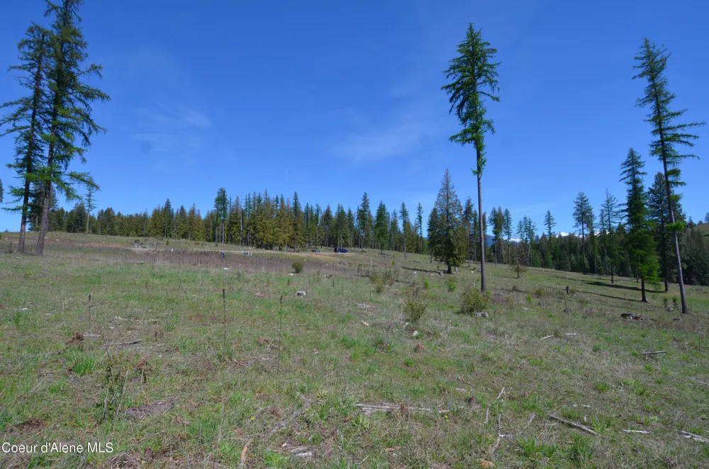 Lot 16 Camp Bay Road Sagle, ID 83860