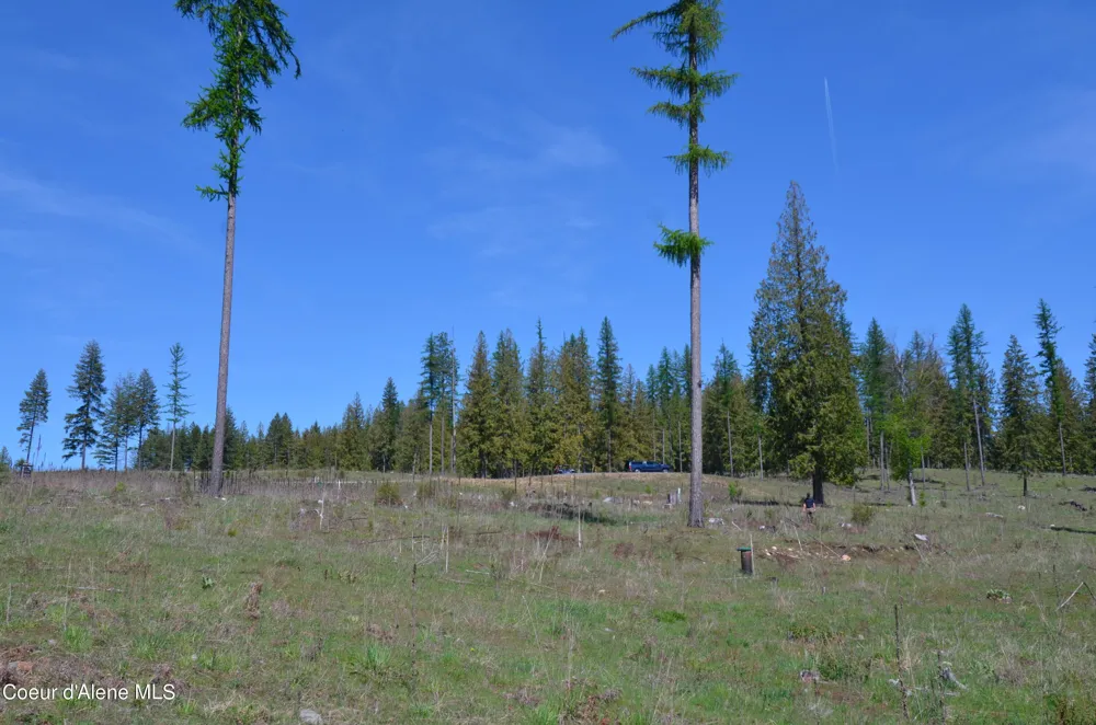 Lot 16 Camp Bay Road Sagle, ID 83860