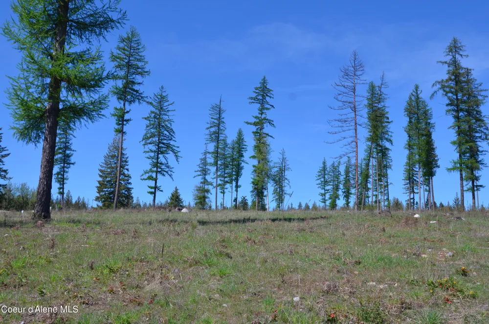 Lot 16 Camp Bay Road Sagle, ID 83860