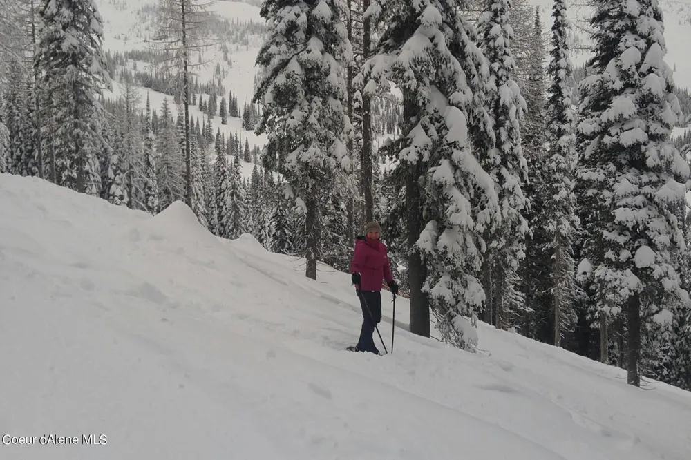 NNA Tall Timber Road Sandpoint, ID 83864