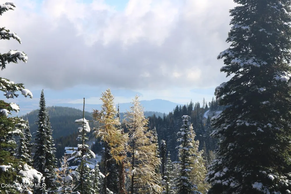 NNA Tall Timber Road Sandpoint, ID 83864
