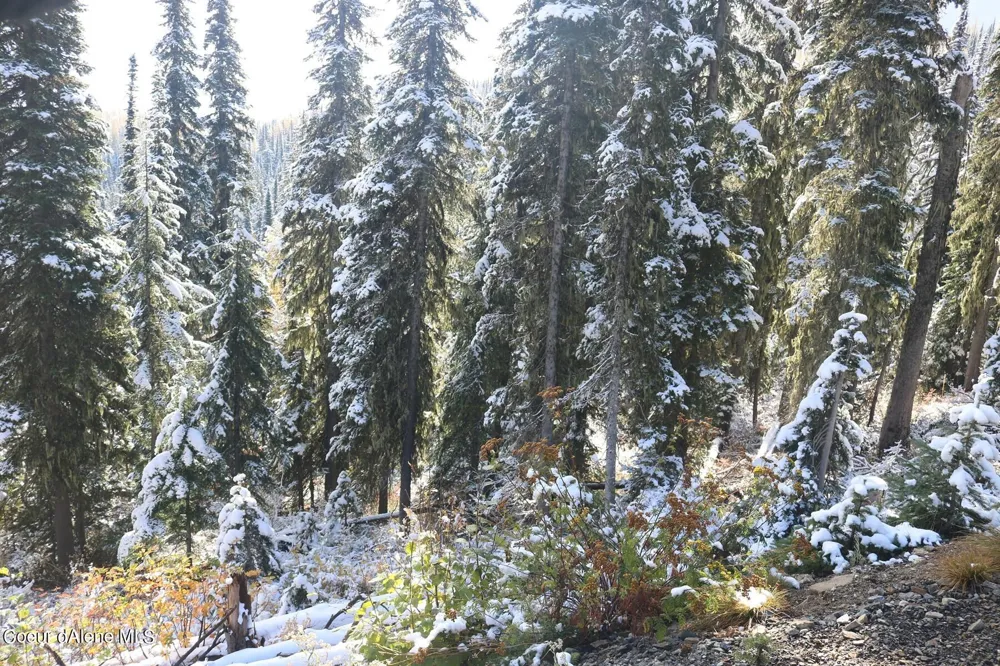 NNA Tall Timber Road Sandpoint, ID 83864