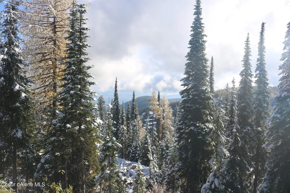 NNA Tall Timber Road Sandpoint, ID 83864