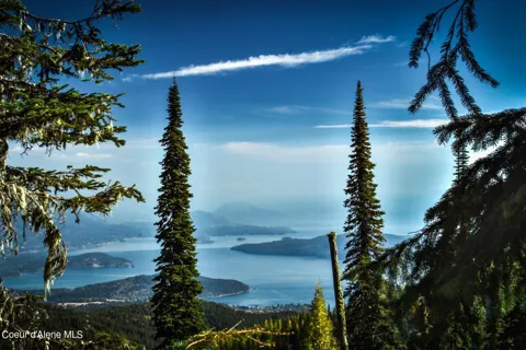 NNA Tall Timber Road