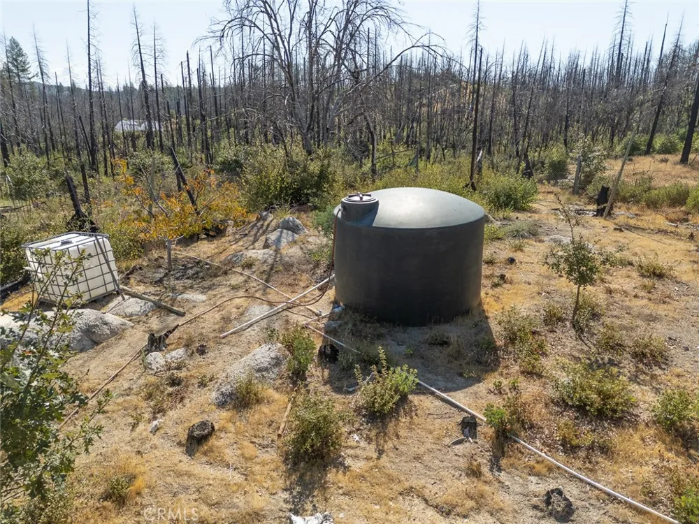 1 Simpson Berry Creek, CA 95916