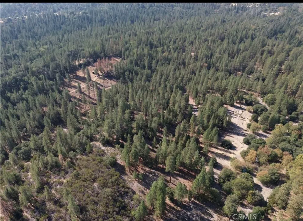 5901 Manton Ponderosa Way Manton, CA 96059