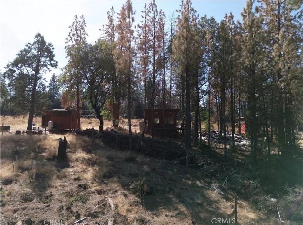5901 Manton Ponderosa Way Manton, CA 96059