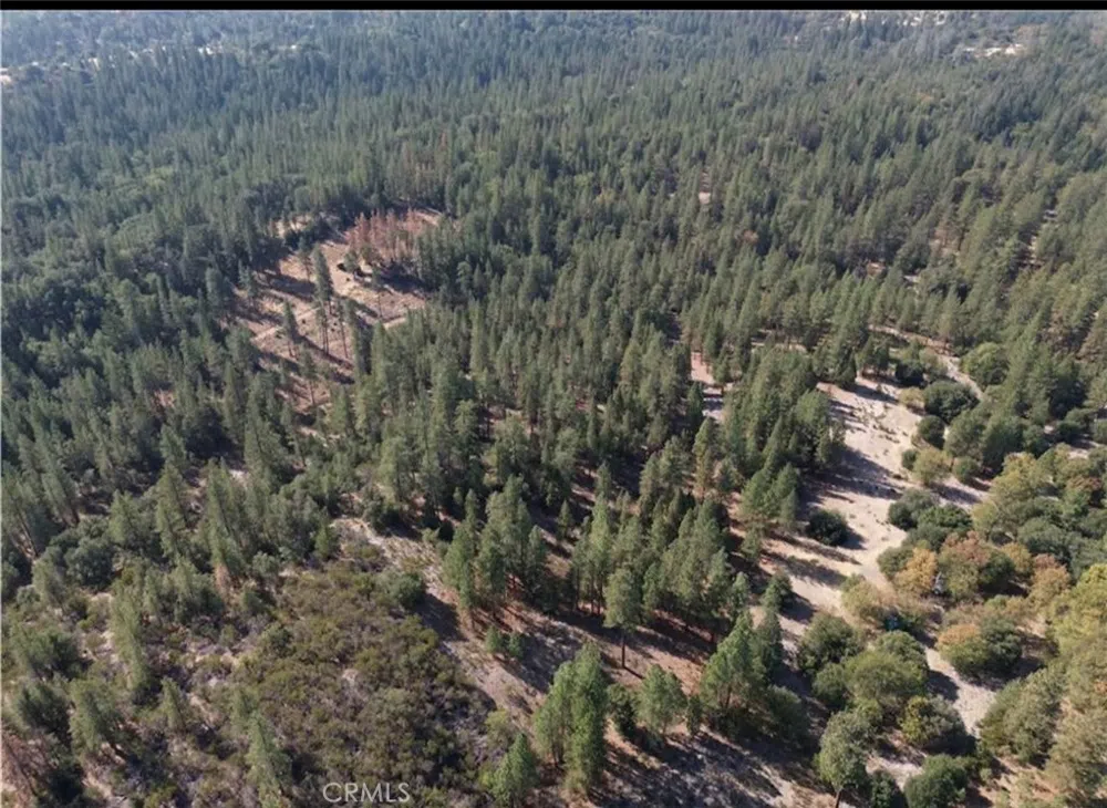5901 Manton Ponderosa Way Manton, CA 96059