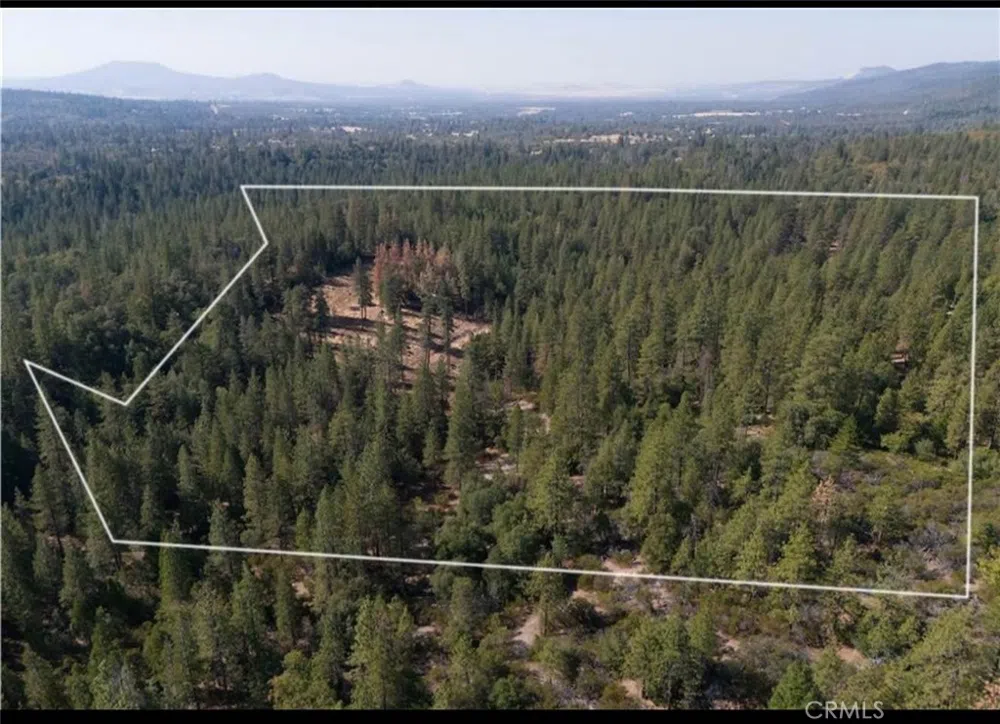 5901 Manton Ponderosa Way Manton, CA 96059