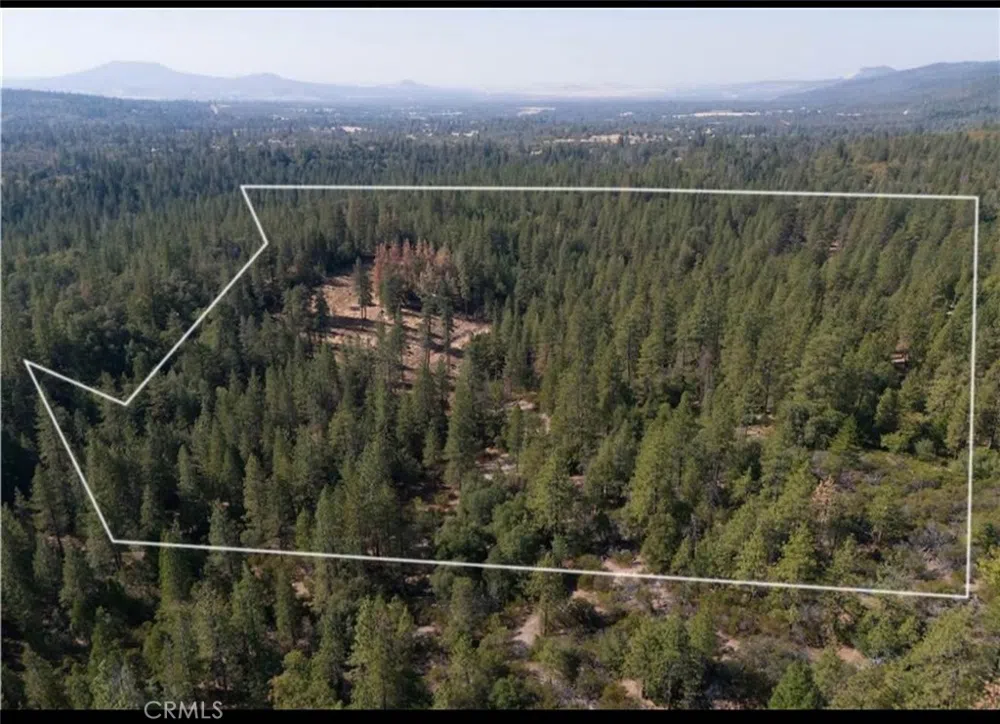 5901 Manton Ponderosa Way Manton, CA 96059