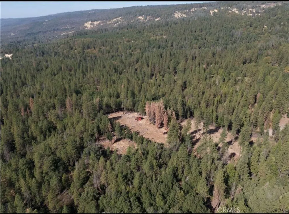 5901 Manton Ponderosa Way Manton, CA 96059