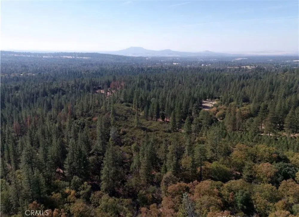5901 Manton Ponderosa Way Manton, CA 96059