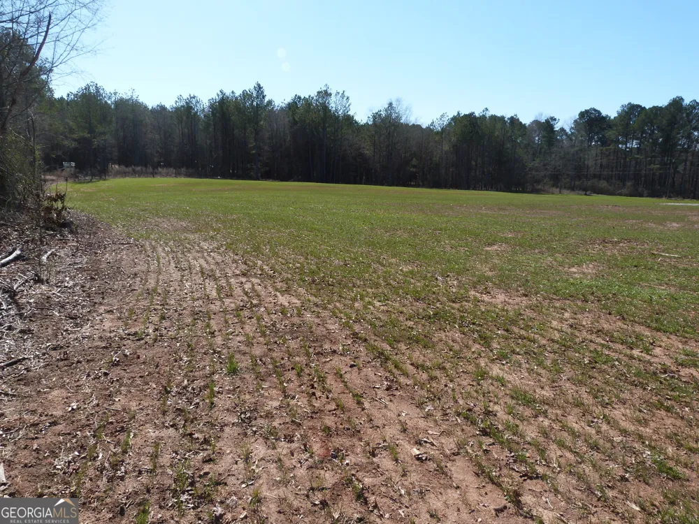 0 Hwy 186 Good Hope, GA 30641