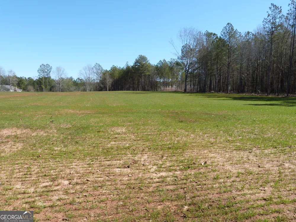 0 Hwy 186 Good Hope, GA 30641