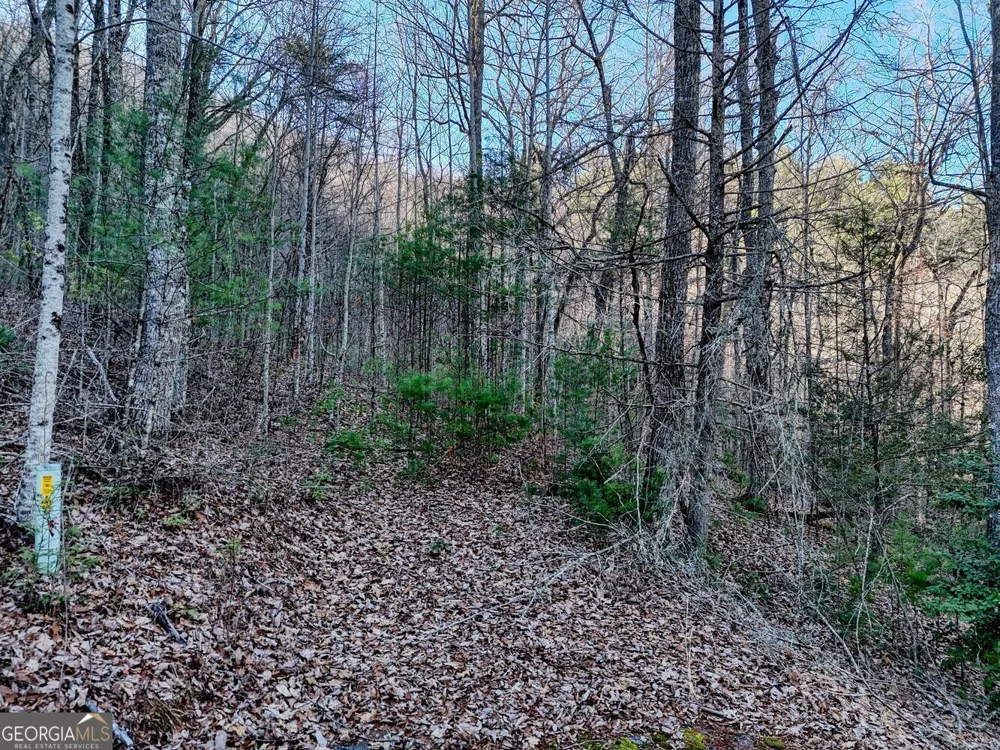 LOT 27 Highland FLS Blairsville, GA 30512