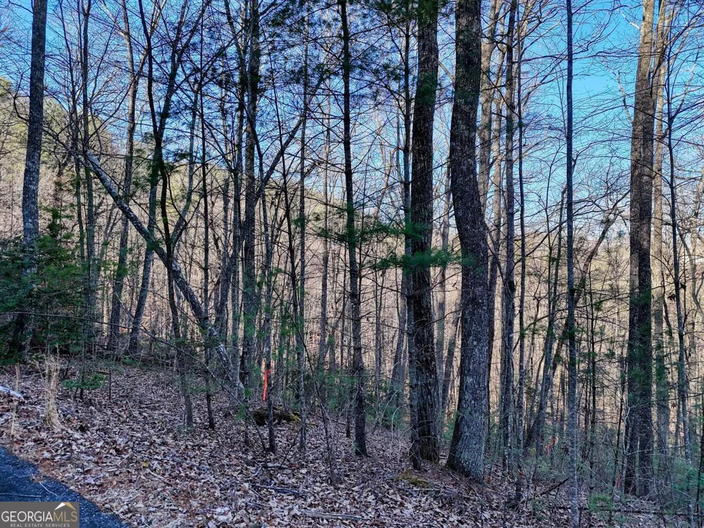 LOT 27 Highland FLS Blairsville, GA 30512