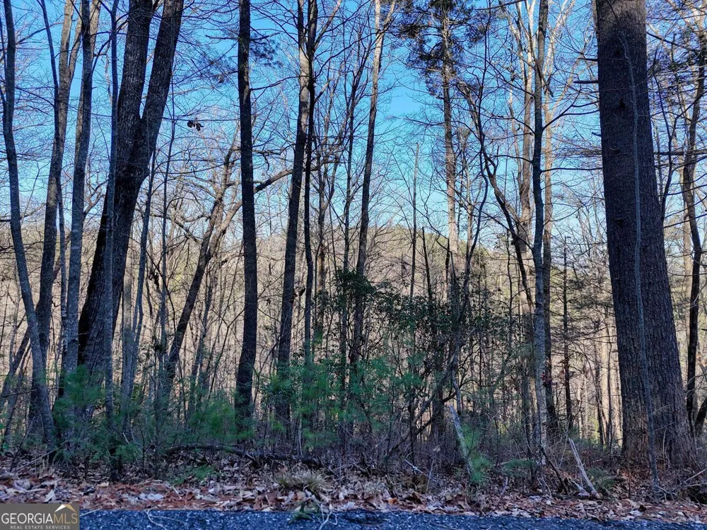 LOT 27 Highland FLS Blairsville, GA 30512