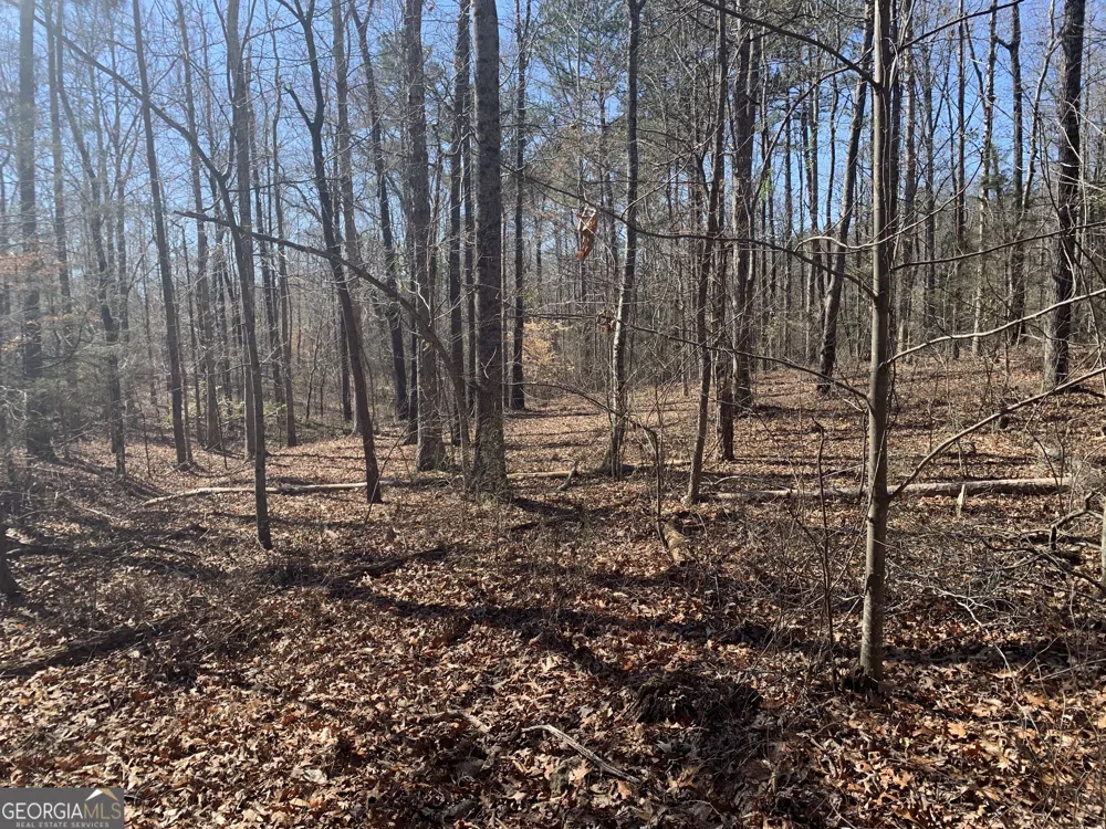 0 Veterans DR Danielsville, GA 30633