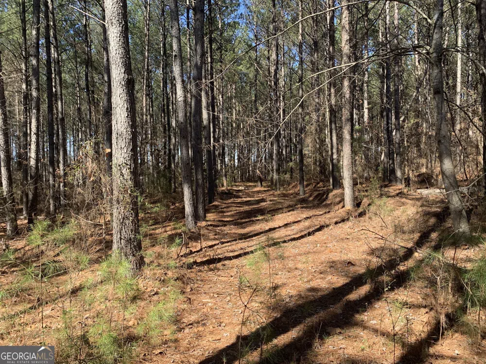 0 Veterans DR Danielsville, GA 30633