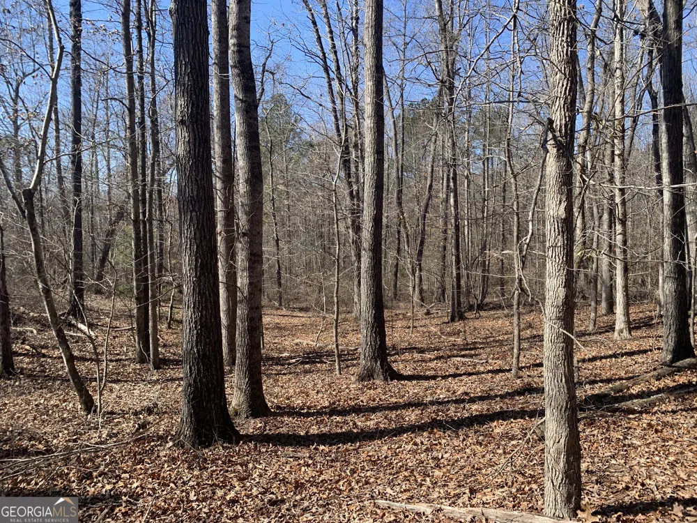0 Veterans DR Danielsville, GA 30633