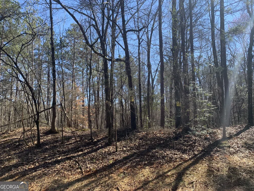 0 Veterans DR Danielsville, GA 30633