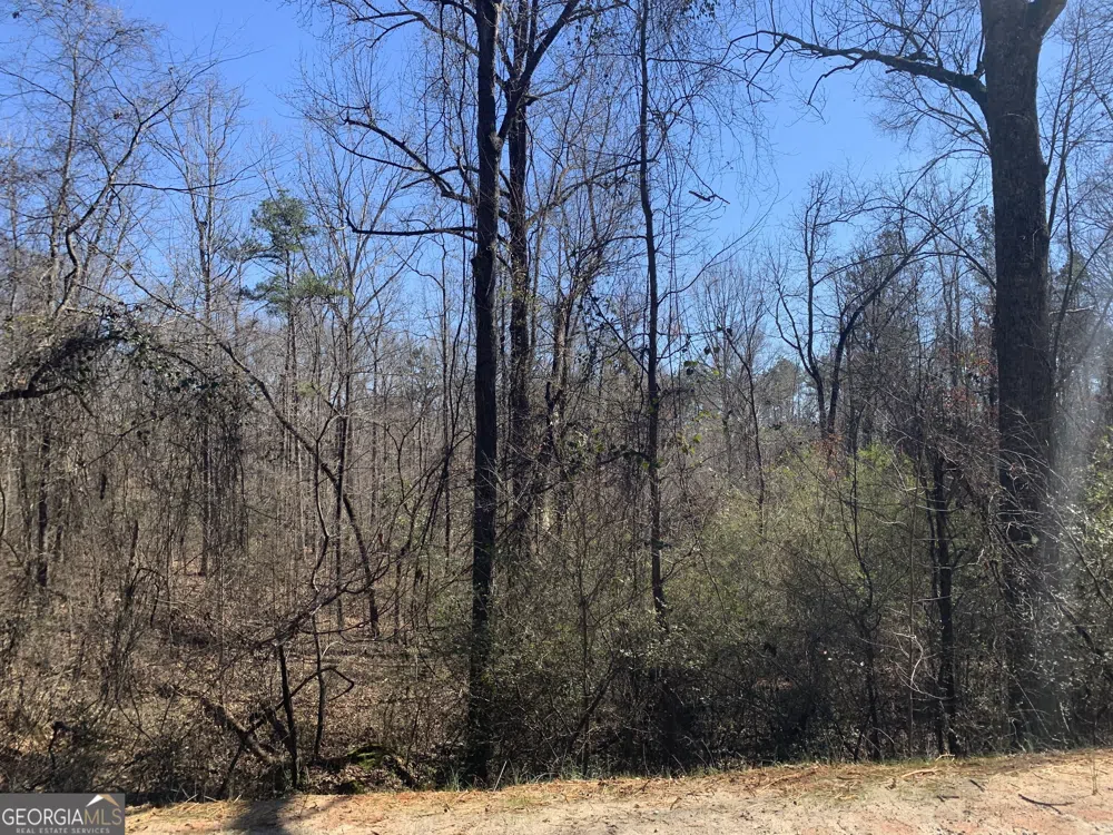 0 Veterans DR Danielsville, GA 30633