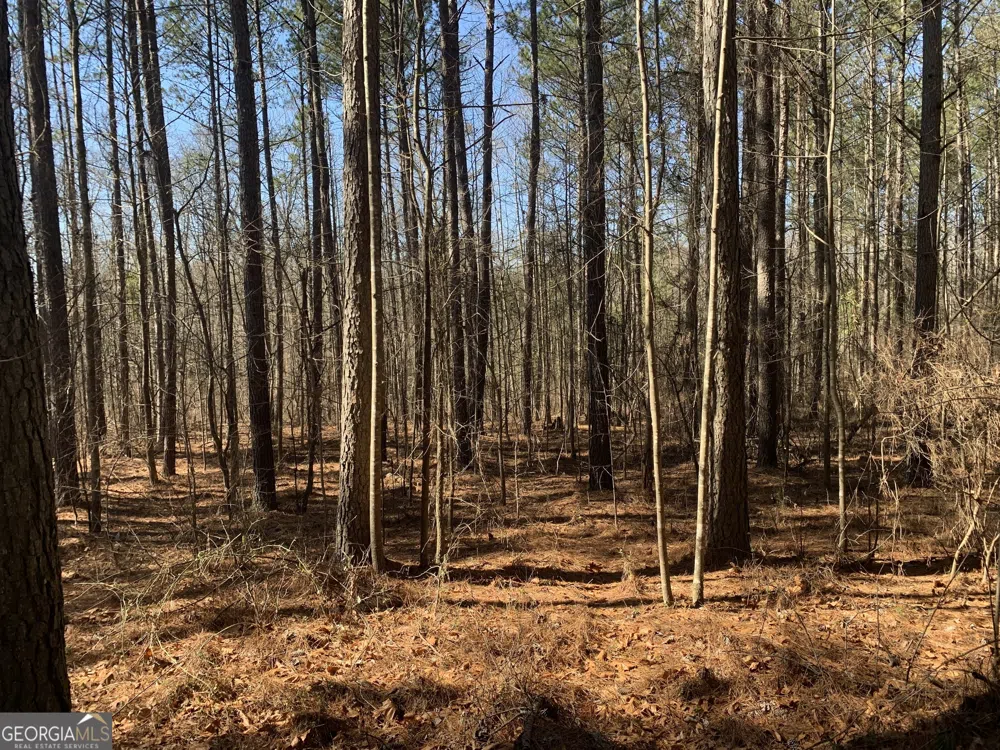 0 Veterans DR Danielsville, GA 30633