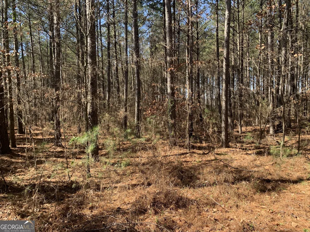 0 Veterans DR Danielsville, GA 30633