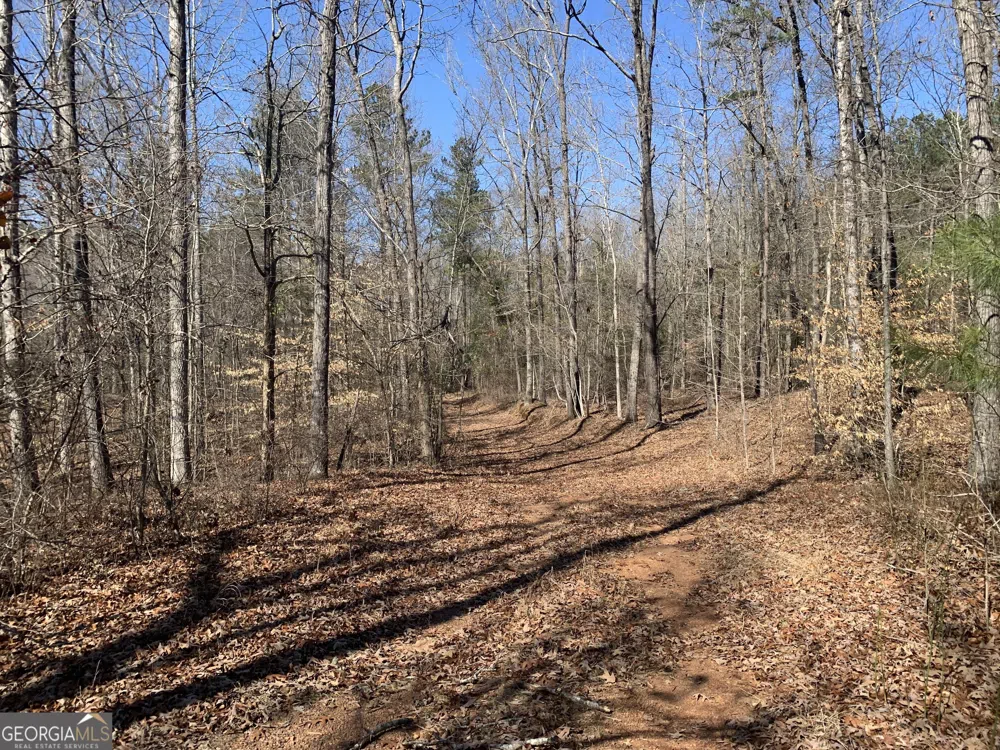 0 Veterans DR Danielsville, GA 30633