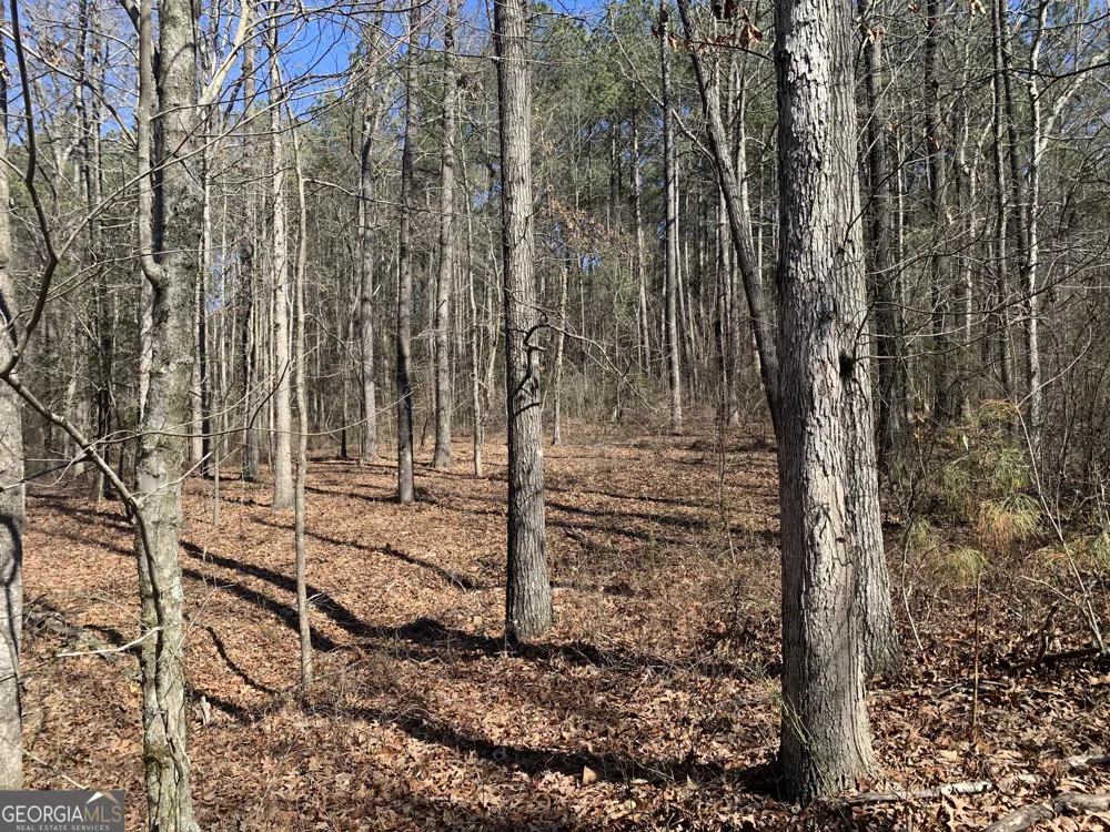 0 Veterans DR Danielsville, GA 30633